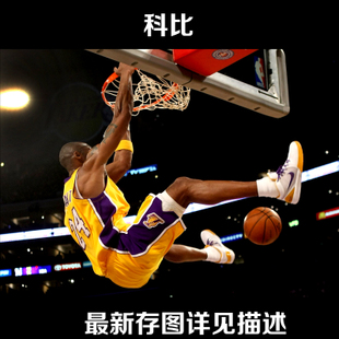 高中毕业证学号是几位数